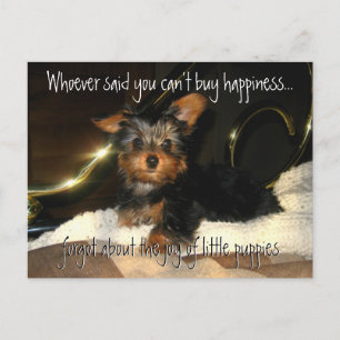 Yorkie Happiness Customizable Postcard