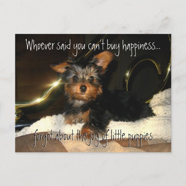 Yorkie Happiness  Customizable Postcard (Front)