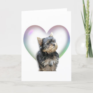 Yorkie Heart Card