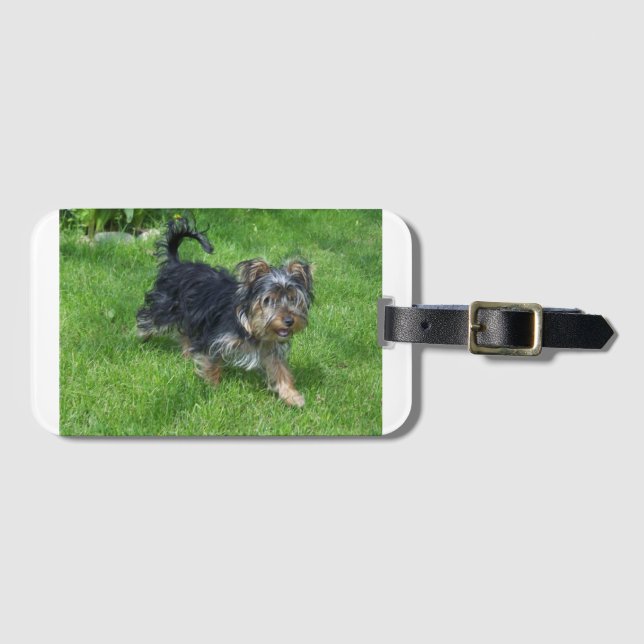yorkie in motion luggage tag (Front Horizontal)