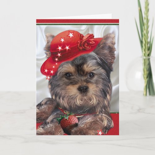 Yorkie in red hat cards