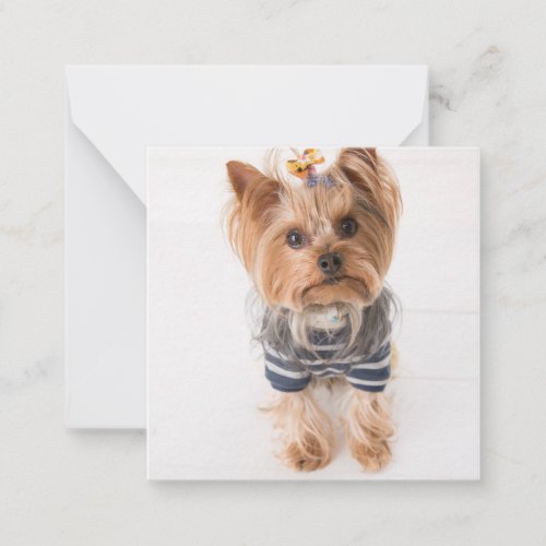 yorkie_in sweater note card