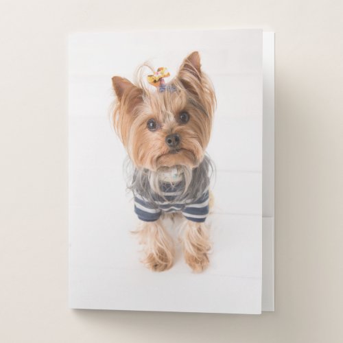 yorkie_in sweater pocket folder