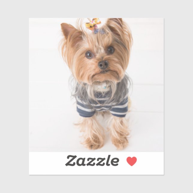 yorkie-in sweater sticker (Sheet)