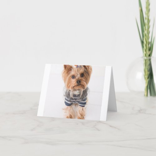 yorkie_in sweater thank you card