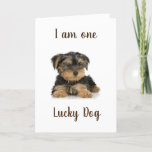 "YORKIE IS ONE LUCKY DOG" BIRTHDAY WISHES CARD<br><div class="desc">This sweetie is so ready to say HAPPY BIRTHDAY to YOUR special someone. And,  tell him or her exactly HOW MUCH he or she means to him or her!</div>