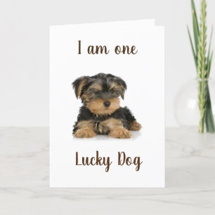 "YORKIE IS ONE LUCKY DOG" BIRTHDAY WISHES CARD