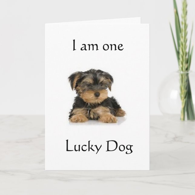 "YORKIE IS ONE LUCKY DOG" BIRTHDAY WISHES CARD (Front)