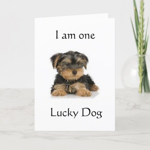 YORKIE IS ONE LUCKY DOG BIRTHDAY WISHES CARD