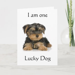 "YORKIE IS ONE LUCKY DOG" BIRTHDAY WISHES CARD
