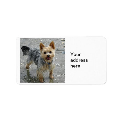 Yorkie Label