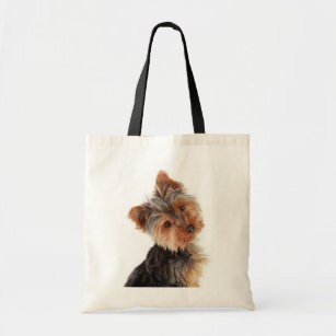 yorkie puppy accessories