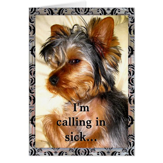 Yorkie LoveSick Customizable Cards (Front)