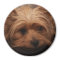 Yorkie Magnet
