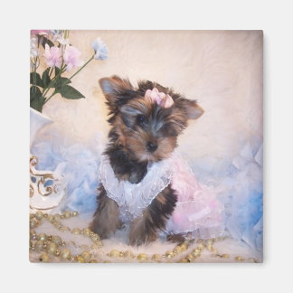 Yorkie Magnet