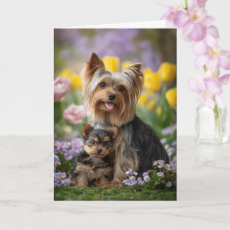Yorkie Mom Mother’s Day Love Card
