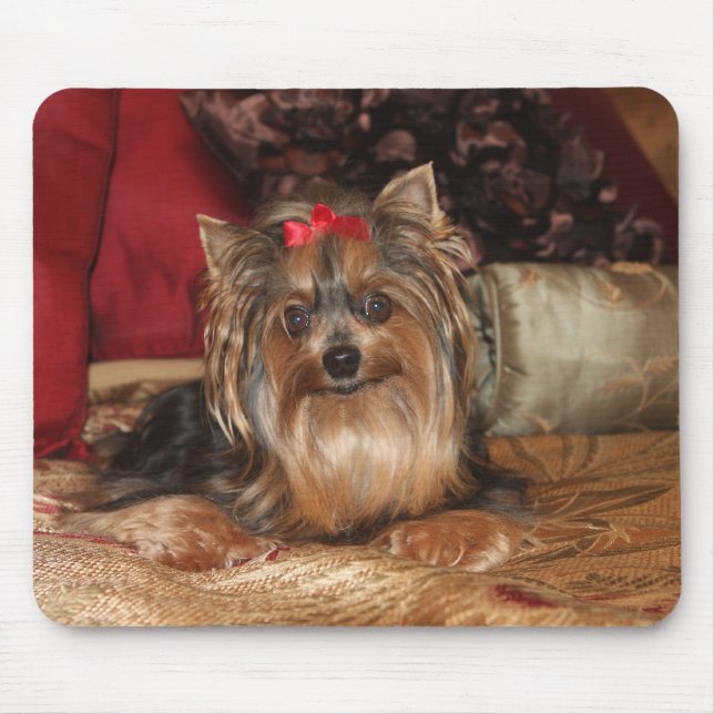 Yorkie Mouse Pad (Front)