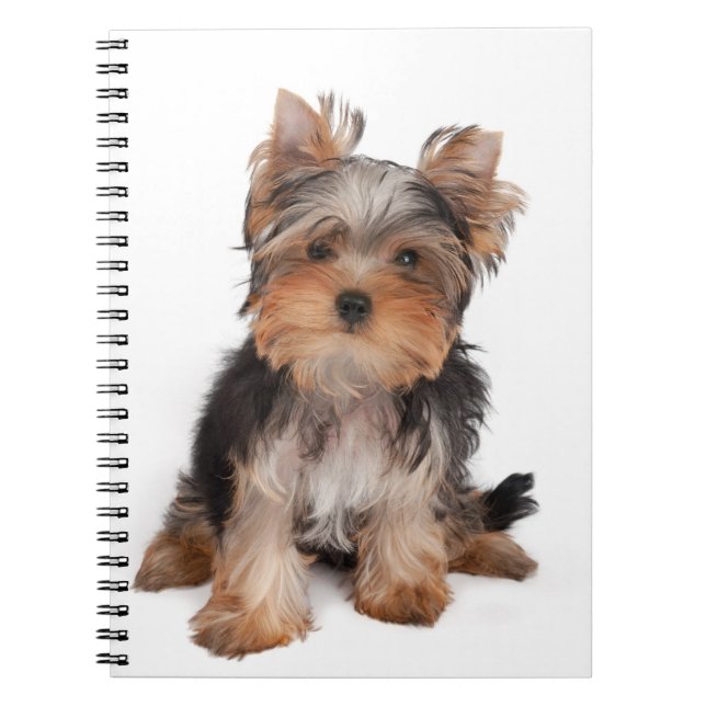 Yorkie Notebook (Front)