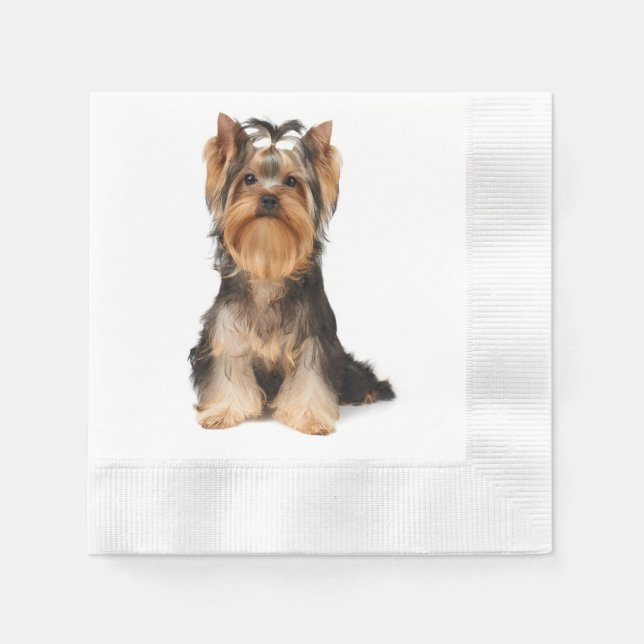 Yorkie on white napkins (Front)