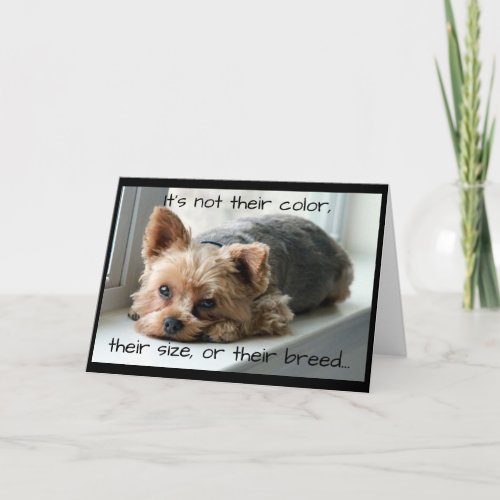 Yorkie on Window Sill Pet Sympathy Card