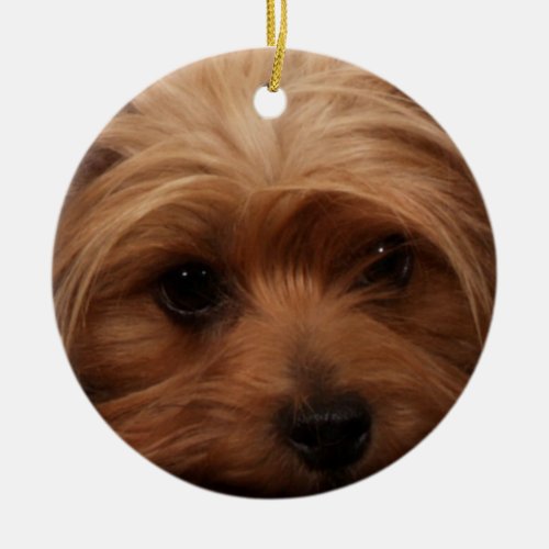 Yorkie or Your Dog Picture Ceramic Ornament