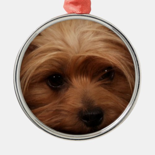 Yorkie or Your Dog Picture Christmas Metal Ornament
