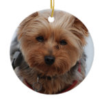 Yorkie  Ornament