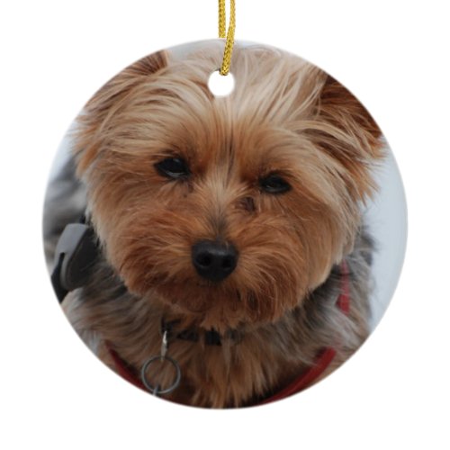Yorkie  Ornament