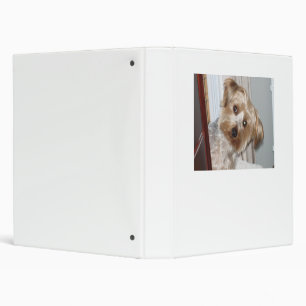 Yorkie Peeking Around the Corner Binder