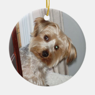 Yorkie Peeking Around the Corner Ceramic Ornament
