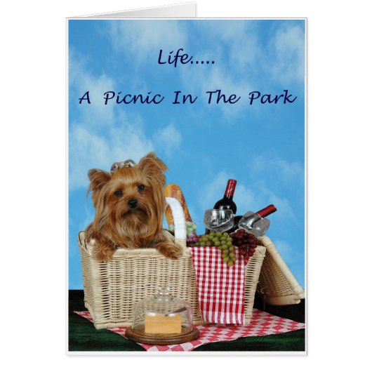Yorkie Picnic Basket Cards (Front)