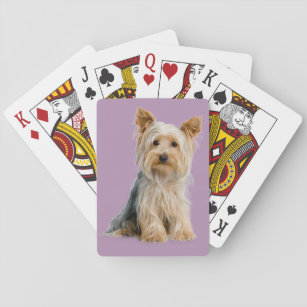 Yorkie Playing Cards