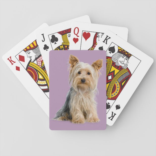 Cairn Terrier Playing Cards 