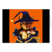 YORKIE POO (Front Horizontal)