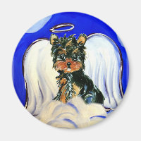 Yorkie Poo Angel