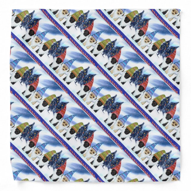 Yorkie Poo Bandana (Front)