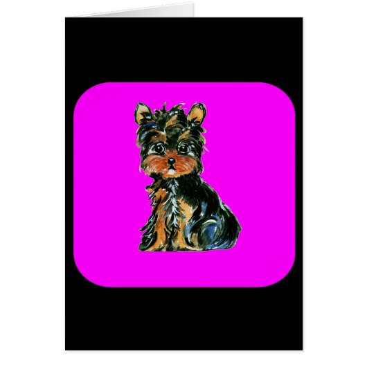Yorkie Poo Cards (Front)