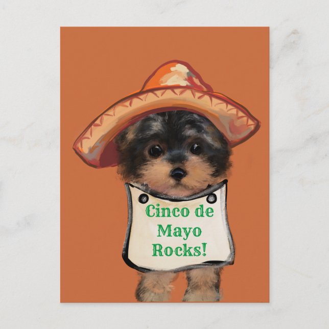 Yorkie Poo    Postcard (Front)