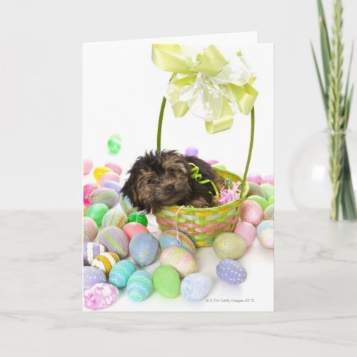 Yorkie_poo puppy encounter ing an Easter basket Holiday Card