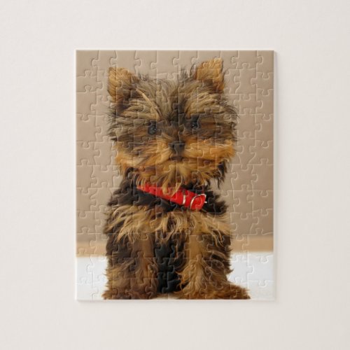 Yorkie Products Jigsaw Puzzle