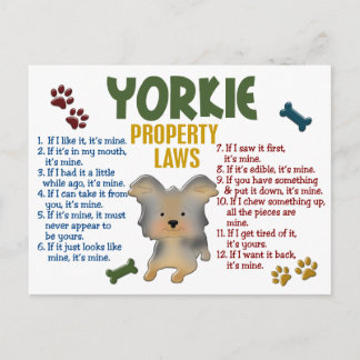 Yorkie Property Laws 4 Postcard