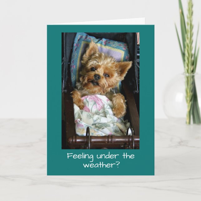 Yorkie Pup in Baby Carriage Card (Front)