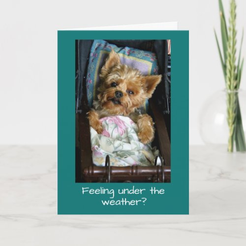 Yorkie Pup in Baby Carriage Card