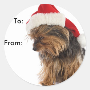 Yorkie Stickers 100 Satisfaction Guaranteed Zazzle How do you draw yorkie puppies? yorkie stickers 100 satisfaction