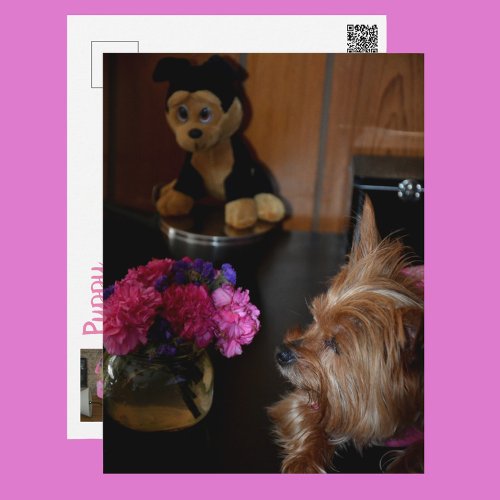 Yorkie Puppy Love Valentines Day Postcard
