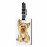 Yorkie Puppy Luggage Tag