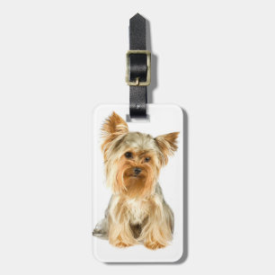 Yorkie Puppy Luggage Tag