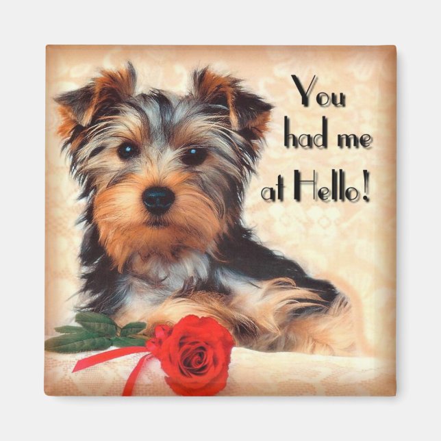Yorkie Puppy Magnet (Front)