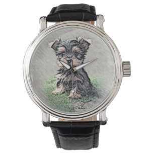 Yorkie, Puppy,pet Watch