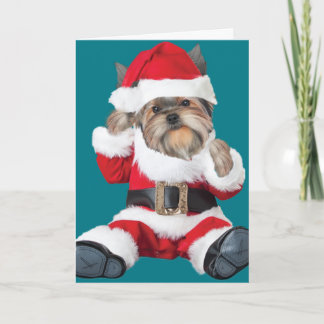 Yorkie Puppy Santa Holiday Card
